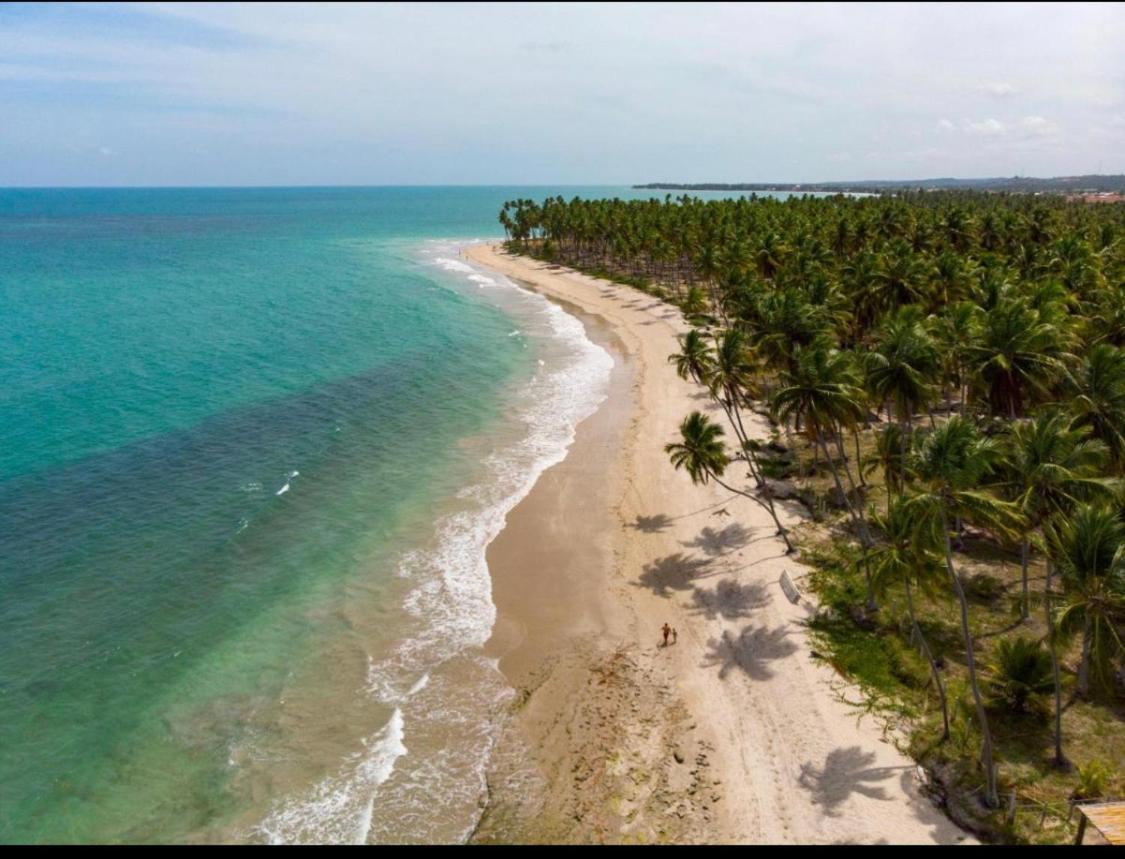 Tamandaré Praia Dos Carneiros Eco Resort Luxuoso מראה חיצוני תמונה